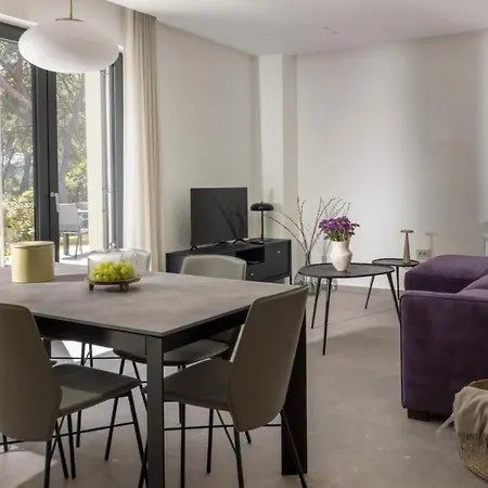 Mare Solis Pinea * 木洛希尼